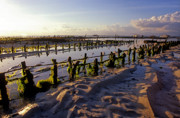 16 - Plantation d algues à Nusa Lembongan